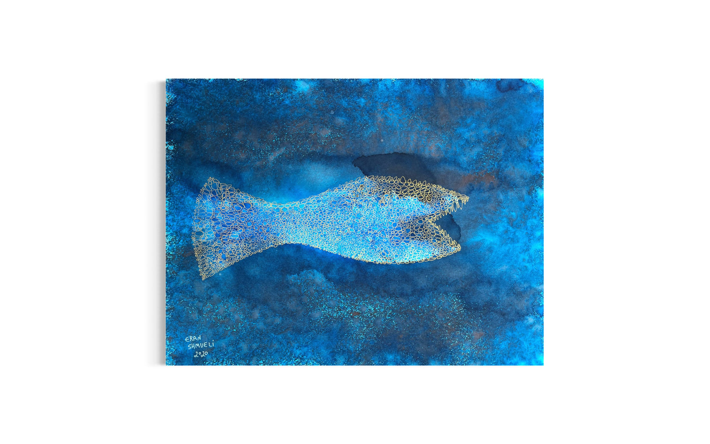 Indigo Fish