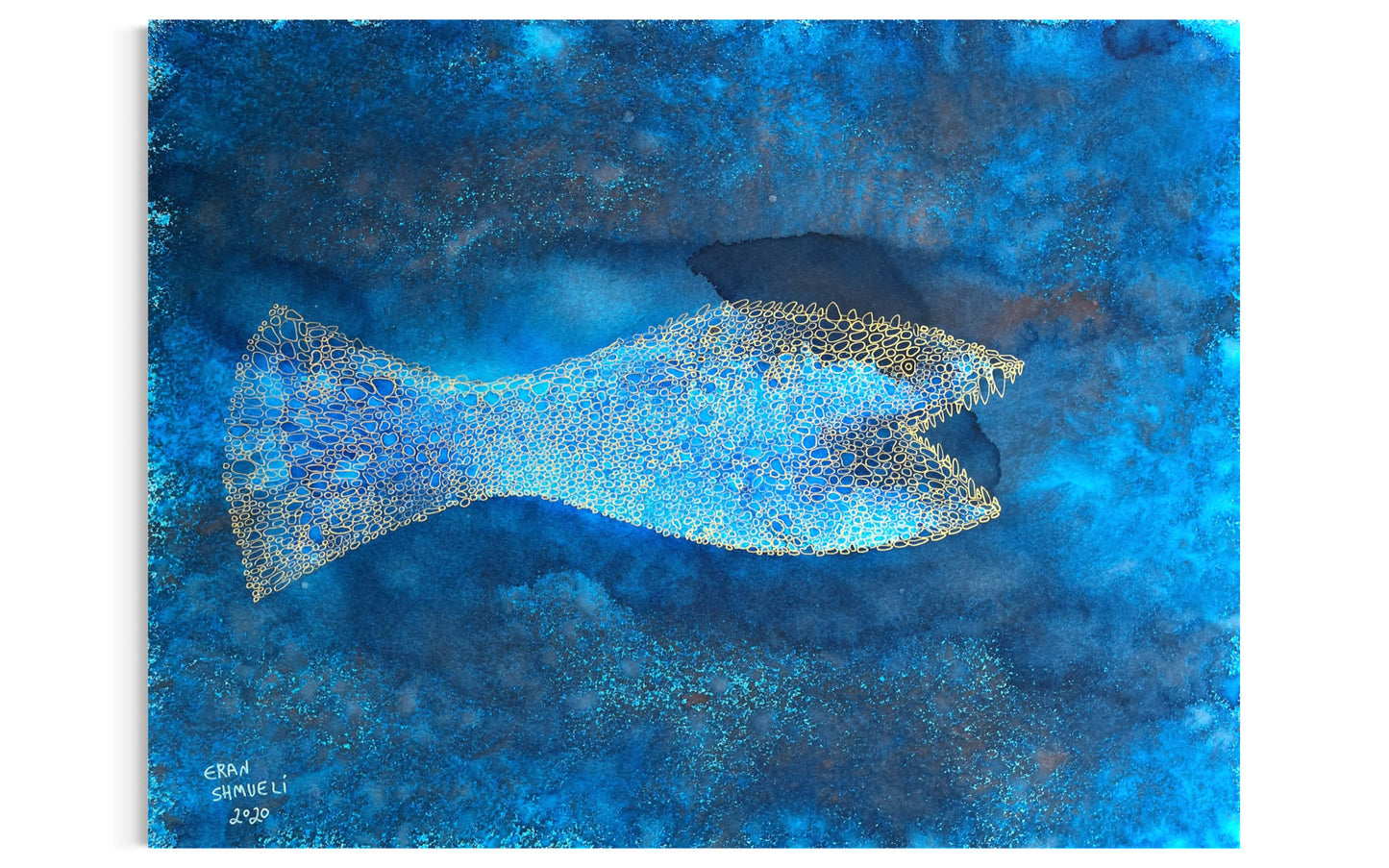 Indigo Fish