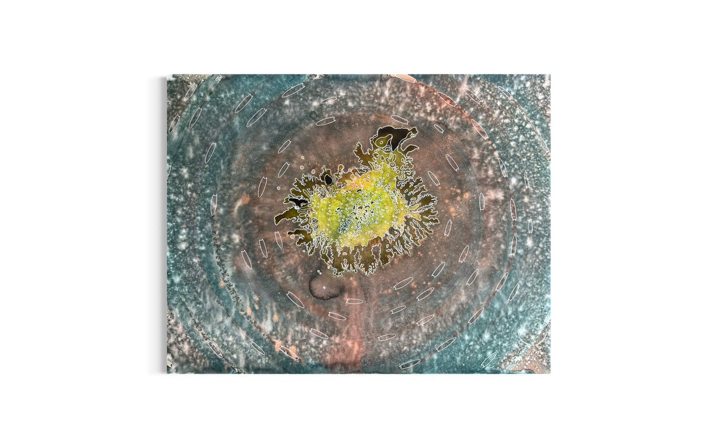 Coral Halo