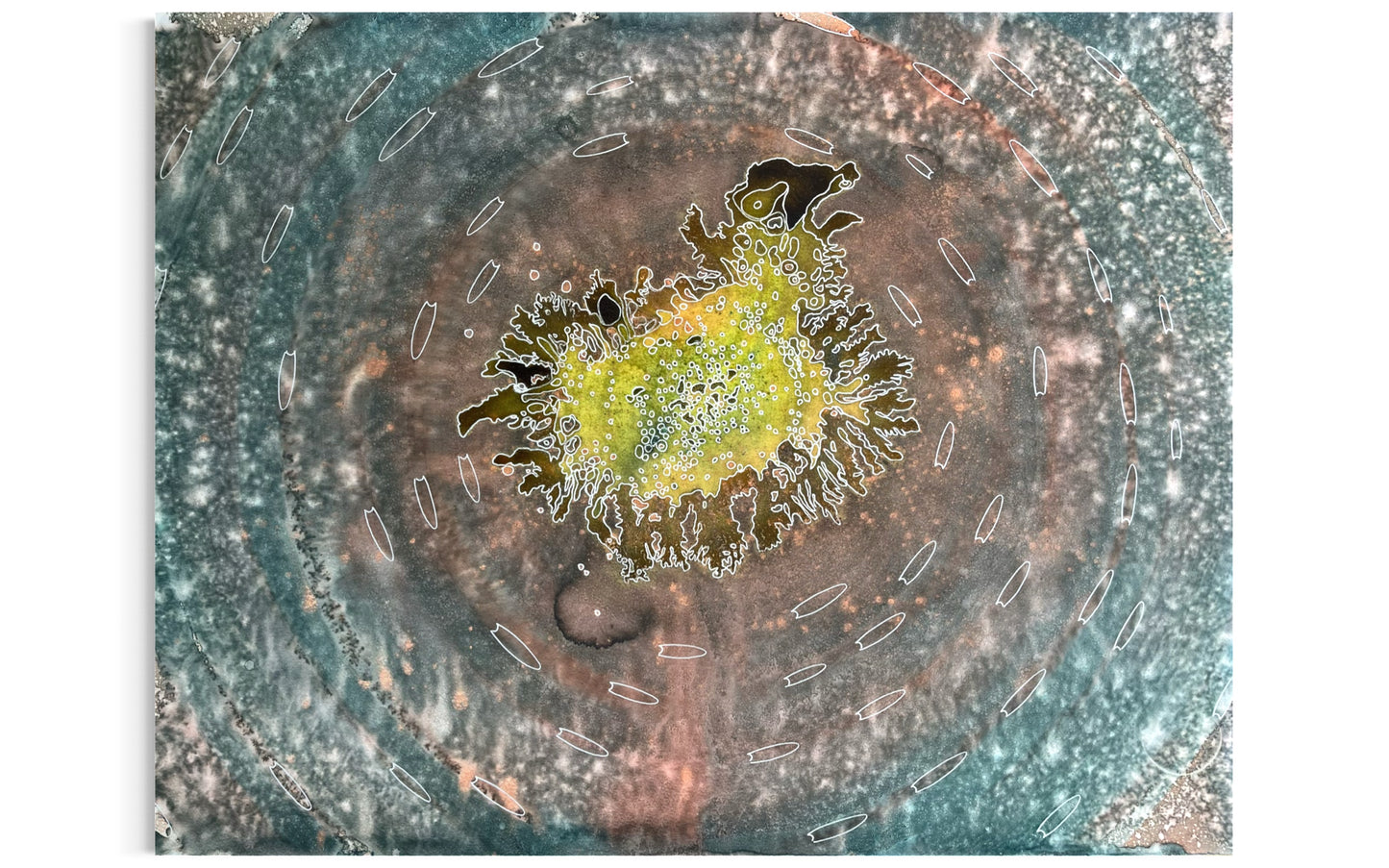 Coral Halo